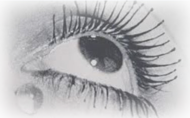 eye